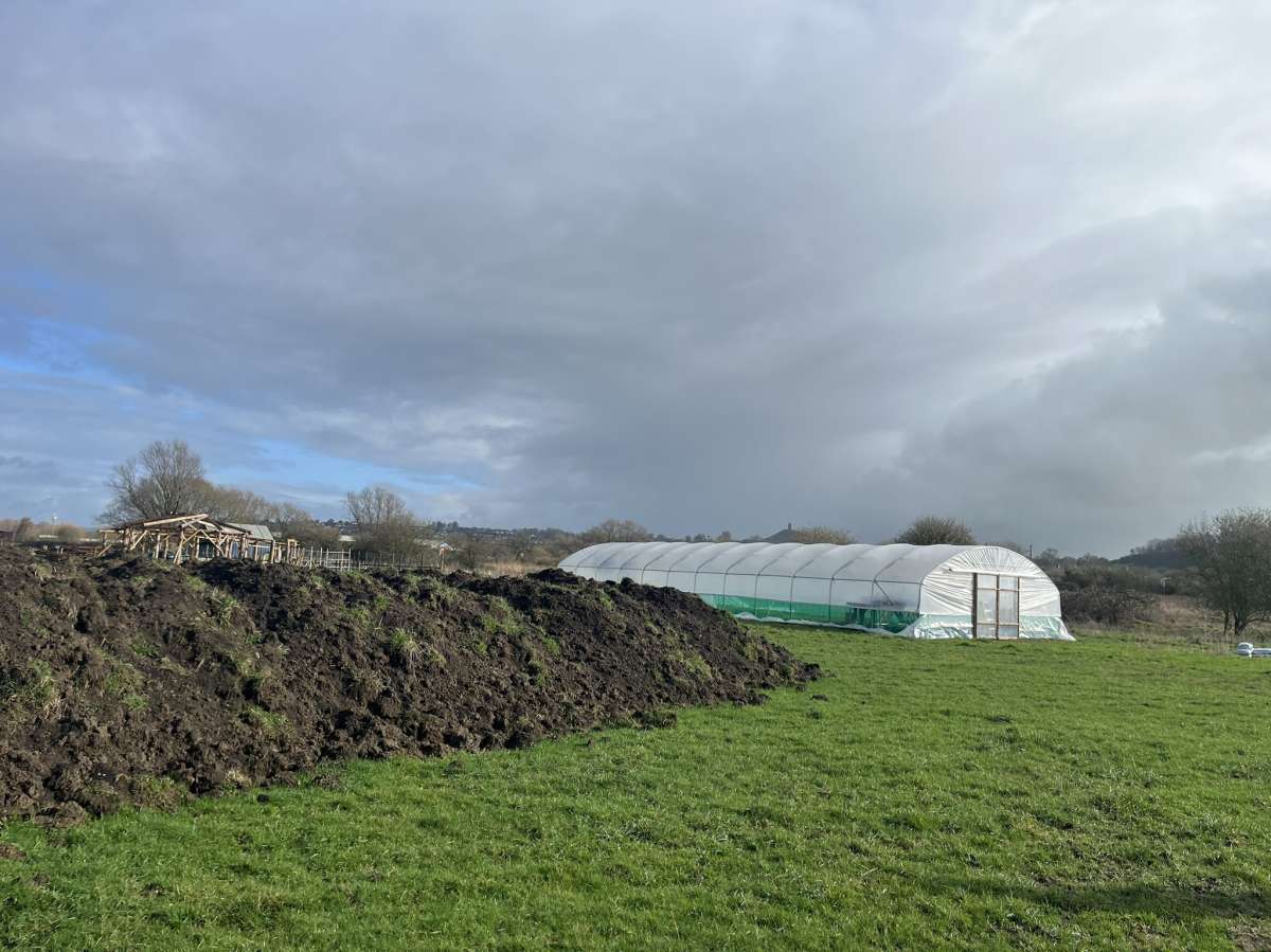 Land in Glastonbury