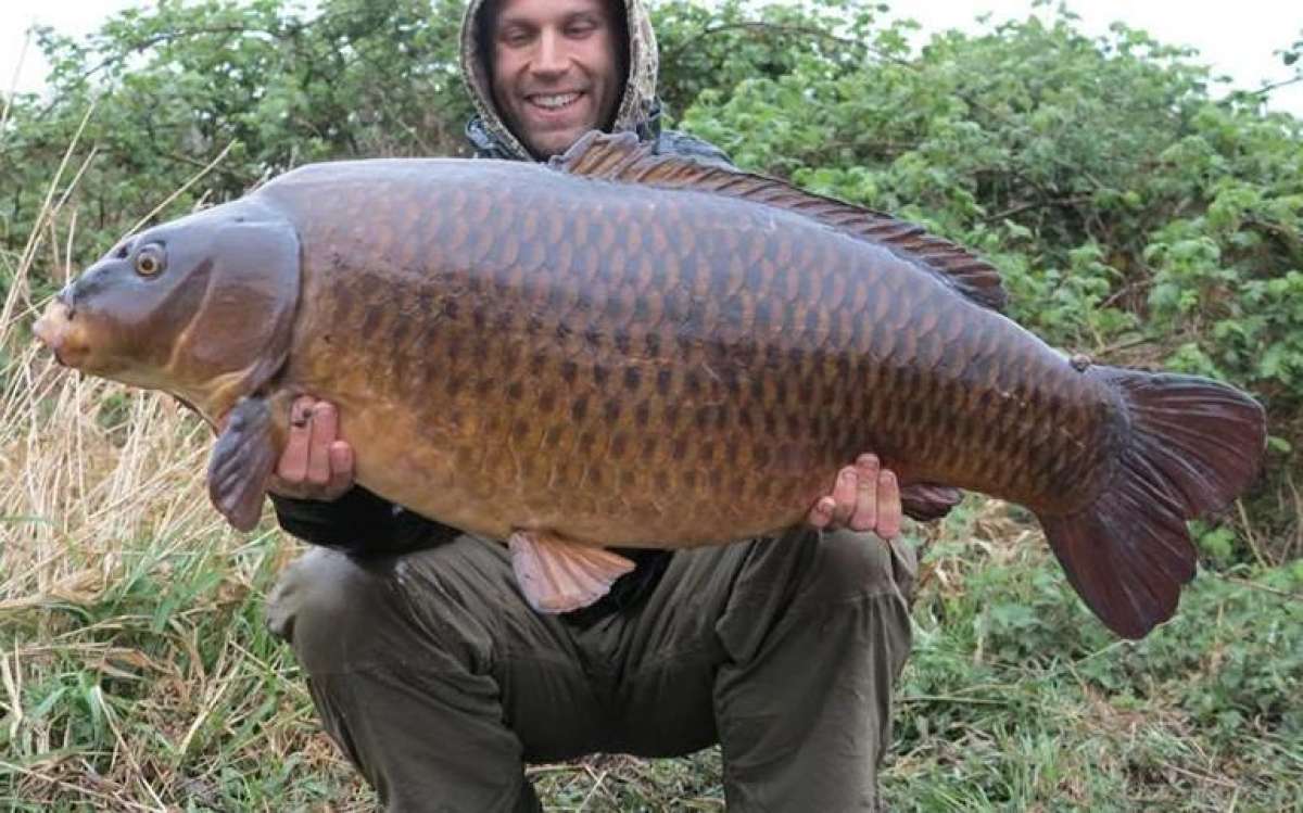 Other in Waltham Abbey - photo 4