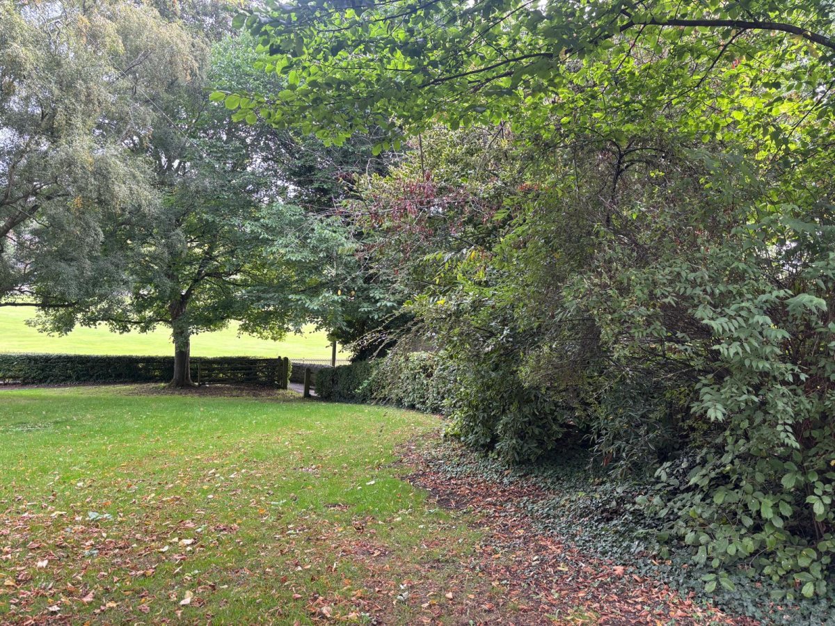 Other in Durham - photo 4