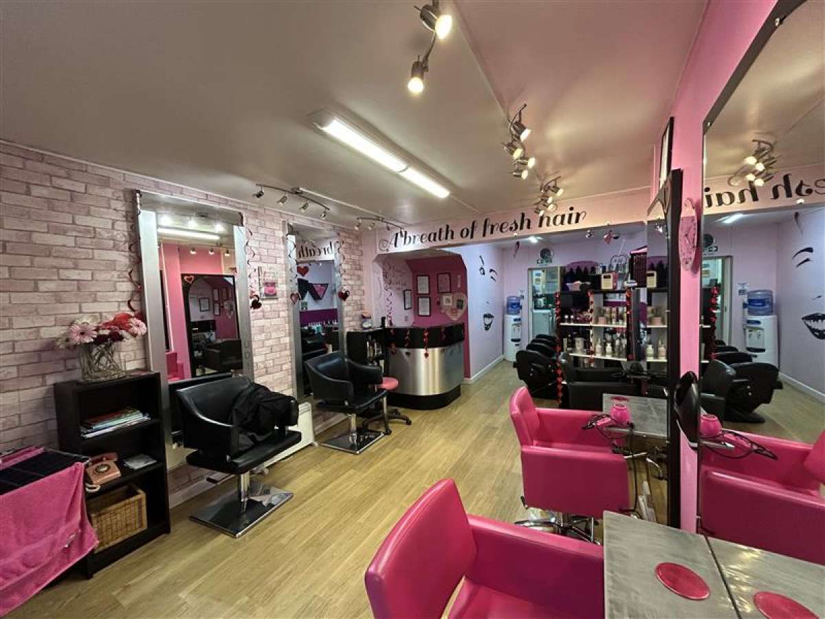 Retail/Shop in Ivybridge - photo 4